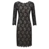 Diane von Furstenberg Women's Colleen Fitted Back Zip Lace Dress - Black - Image 1