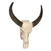 Cow Skull with Horns - Image 1