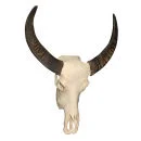 Cow Skull with Horns Image 1