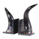 Bark & Blossom Pair of Horn Bookends Image 1