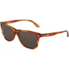 Calvin Klein Oversized Wayfarer Sunglasses - Blonde Havana - Image 1