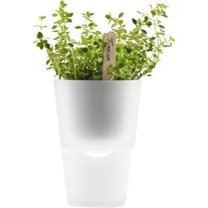 Eva Solo 11cm Self Watering Herb Pot - Frosted Glass Image 1
