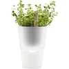 Eva Solo 11cm Self Watering Herb Pot - Frosted Glass - Image 1