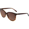 Calvin Klein Oversized Sunglasses - Chestnut - Image 1