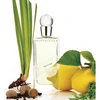 Chantecaille Vetyver Parfum - 75ml - Image 1