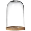 Nkuku Recycled Inu Decorative Medium Glass Dome - Image 1