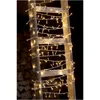 Sirius Robbie Indoor and Outdoor Lights - 100 LED Warm White - Image 1