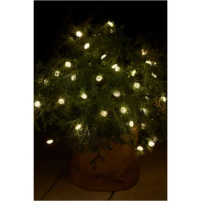 Sirius Silke Indoor and Outdoor 40 LED String Lights with Timer - 3.9m
