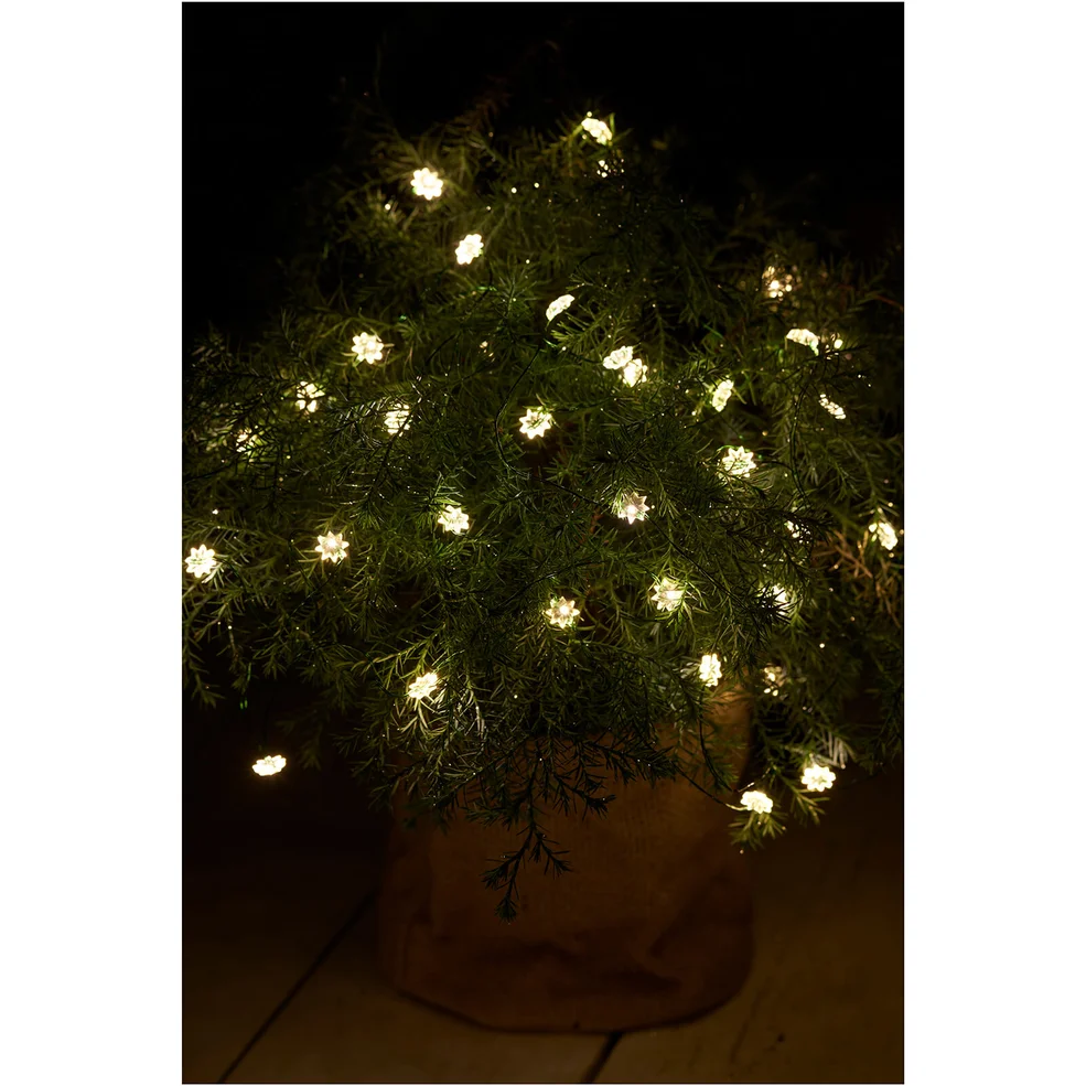 Sirius Silke Indoor and Outdoor 40 LED String Lights with Timer - 3.9m Image 1