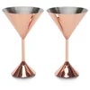 Tom Dixon Plum Martini Glass - Set of 2 - Image 1