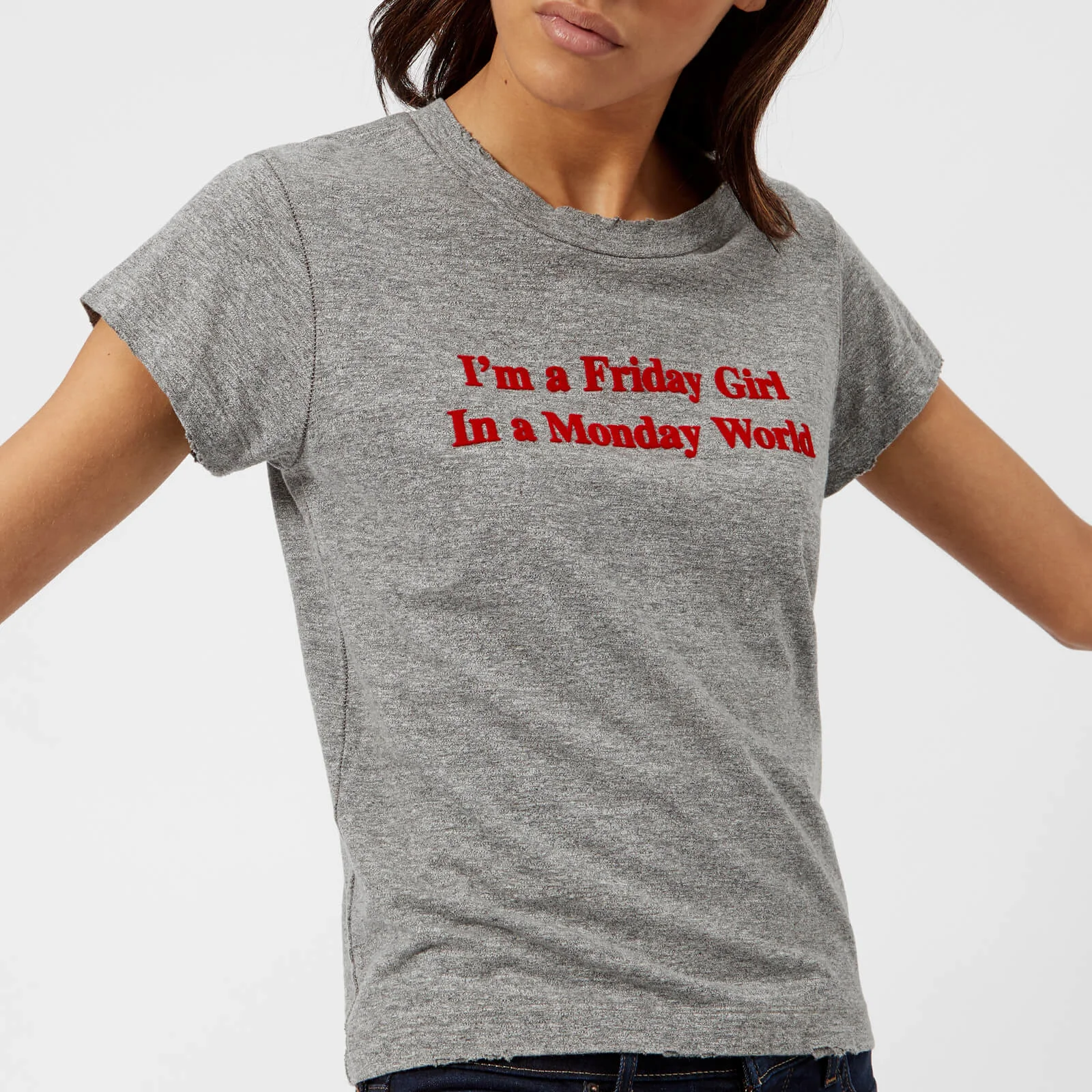 Wildfox Women's Friday Girl Short Sleeve T-Shirt - Grey Heather Image 1