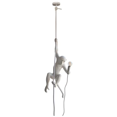 Seletti Indoor/Outdoor Ceiling Monkey Lamp - White