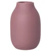Blomus Colora Vase - Withered Rose - Image 1