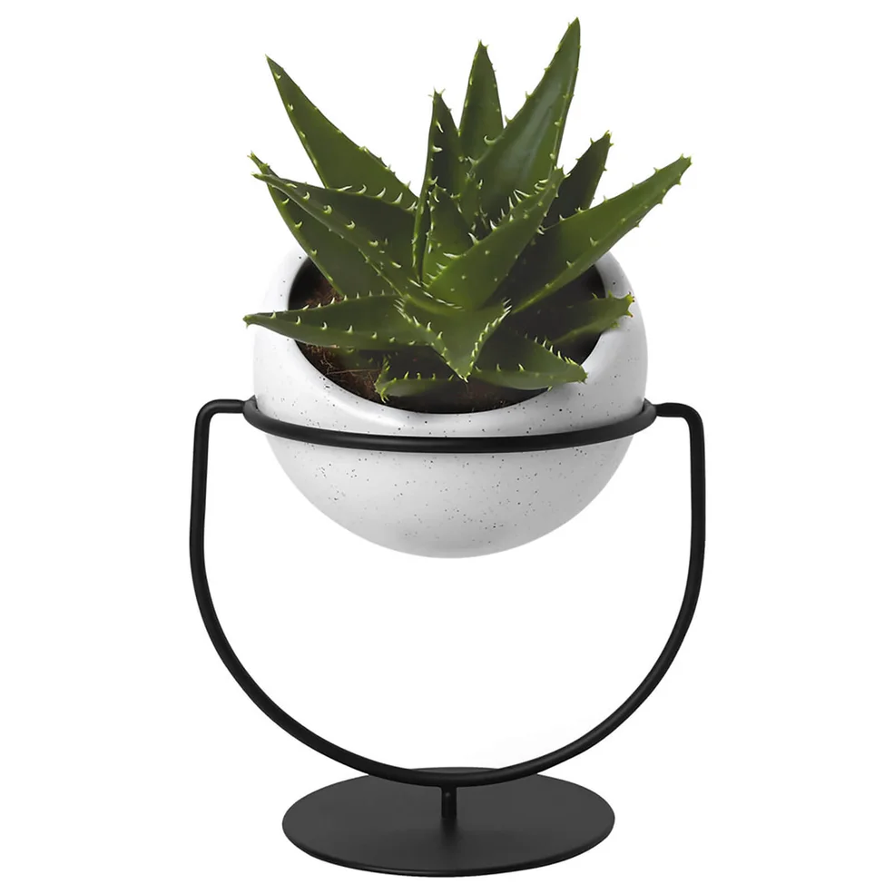 Umbra Nesta Table Top and Hanging Planter Image 1