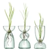LSA Canopy Clear Trio Vase Set - 13cm - Image 1