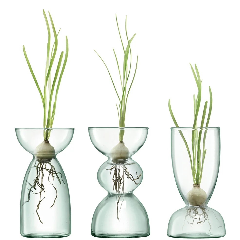 LSA Canopy Clear Trio Vase Set - 13cm Image 1