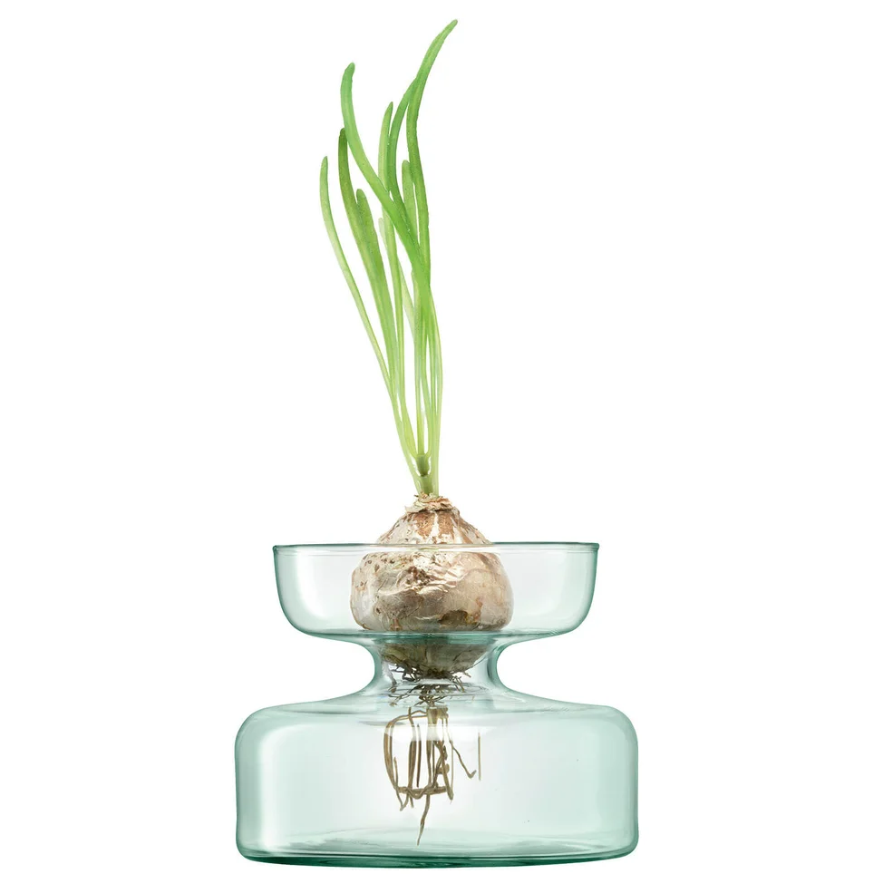 LSA Canopy Clear Vase/Bulb Planter - 10cm Image 1