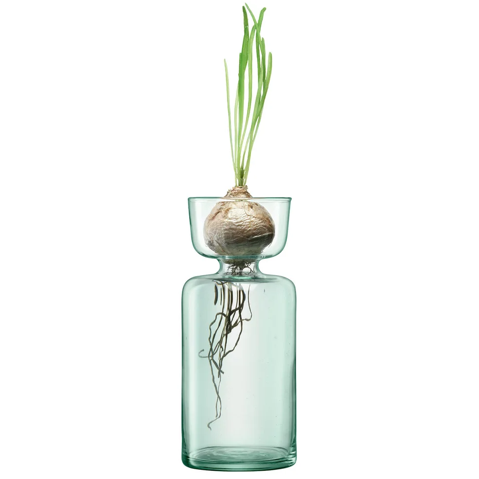 LSA Canopy Clear Vase/Bulb Planter - 20cm Image 1