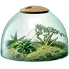 LSA Canopy Clear Closed Garden - 16.5cm - Image 1