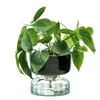 LSA Canopy Clear Self Watering Planter - 13cm - Image 1