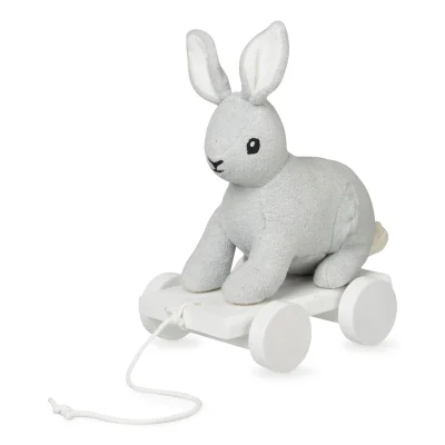 Cam Cam Pull Toy - Hare