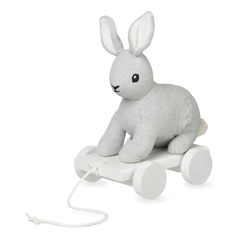 Cam Cam Pull Toy - Hare Image 1