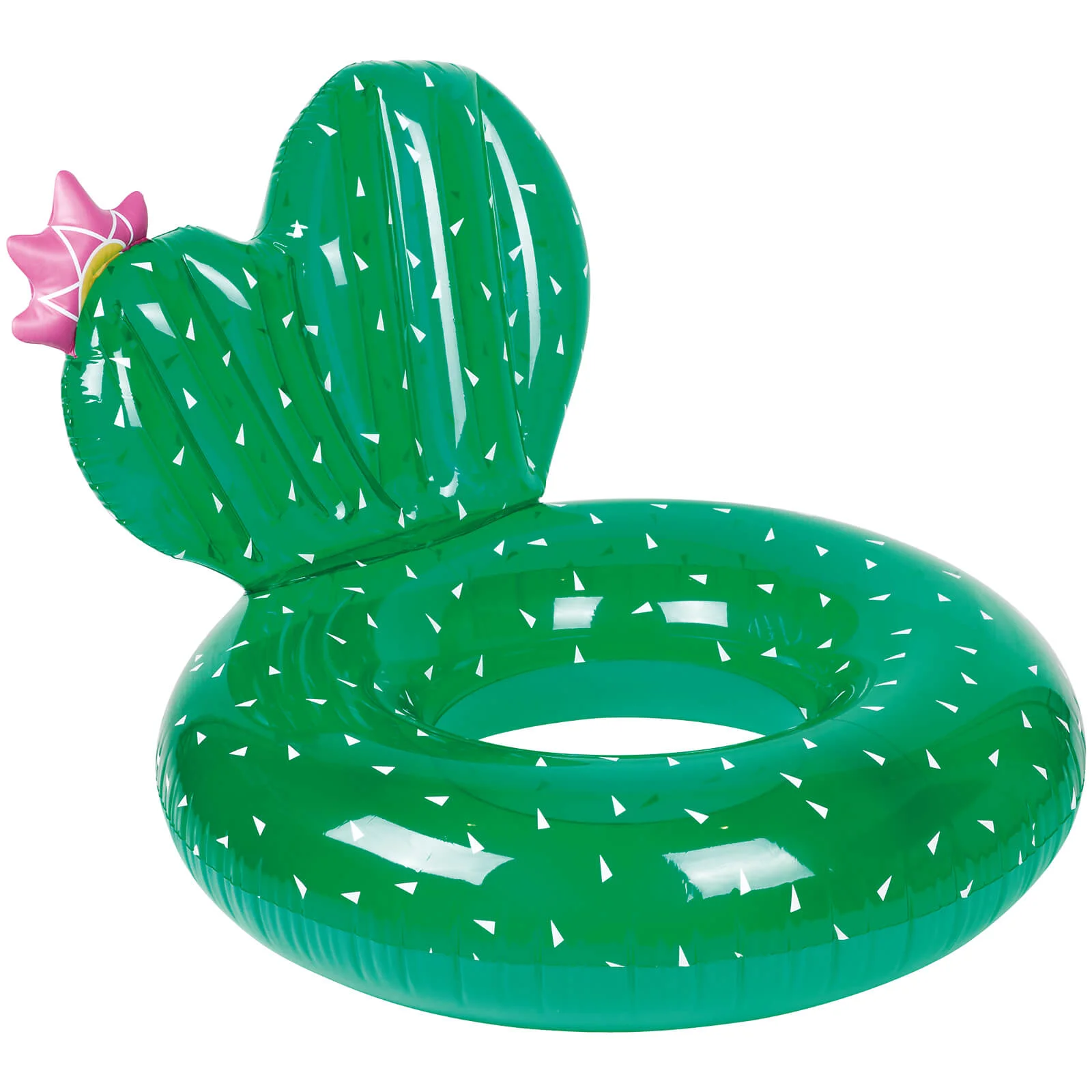 Sunnylife Luxe Pool Ring - Cactus Image 1