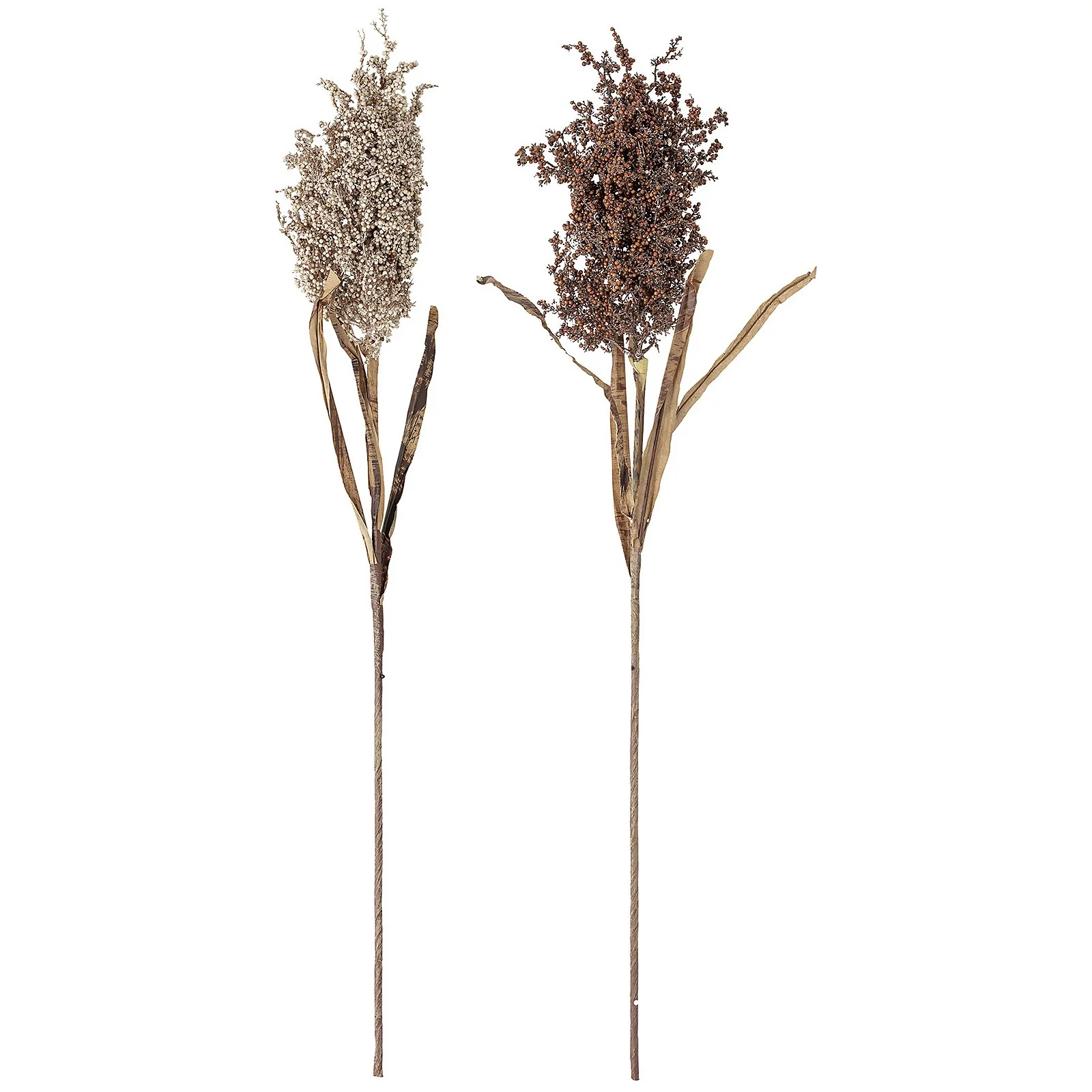Bloomingville Faux Dried Flower - Set of 2 - Assiba Image 1