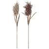 Bloomingville Faux Dried Flower - Set of 2 - Assiba - Image 1
