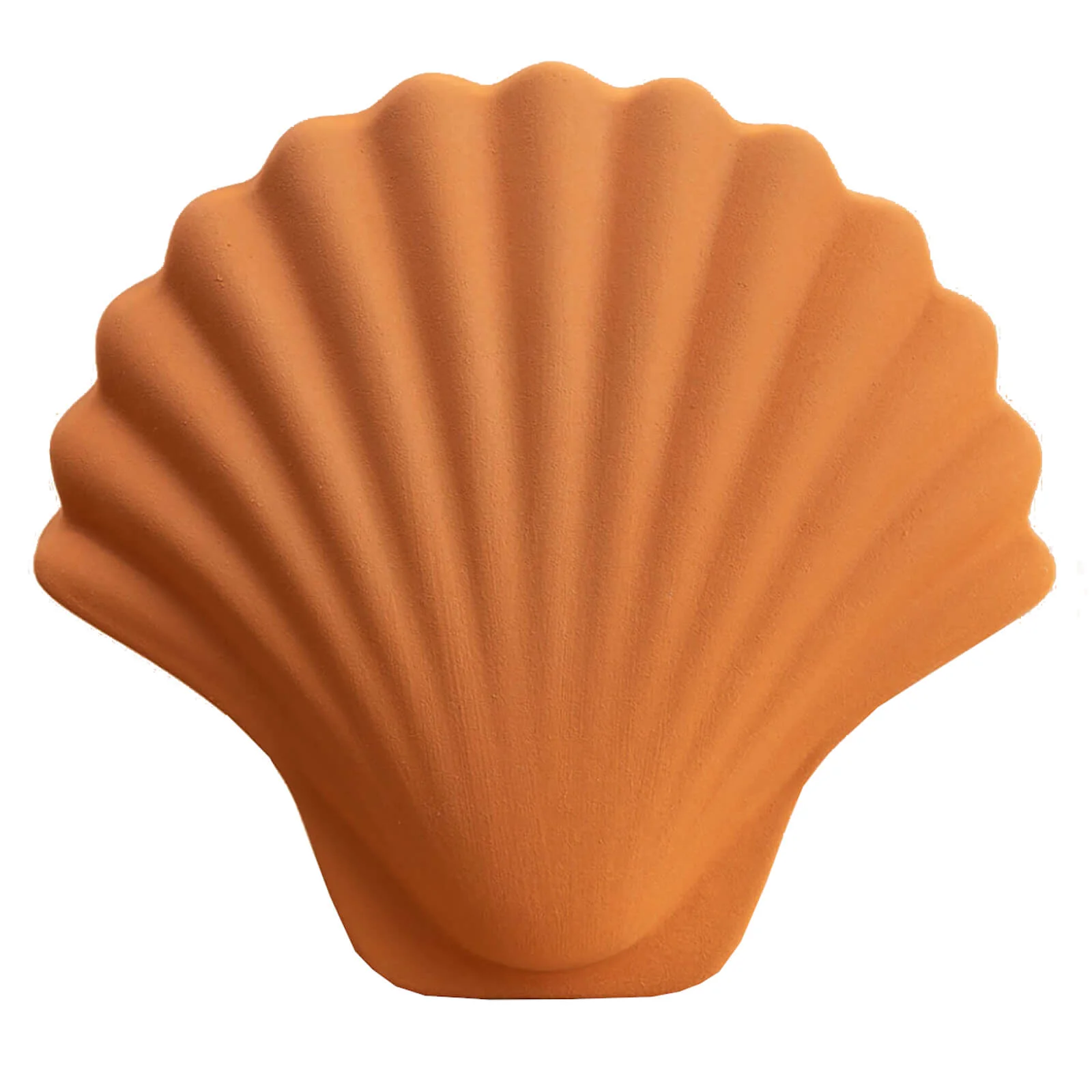 Los Objetos Decorativos Seashell Vase - Amber Image 1