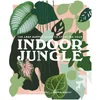 Abrams & Chronicle: The Leaf Supply Guide to Creating Your Indoor Jungle - Image 1