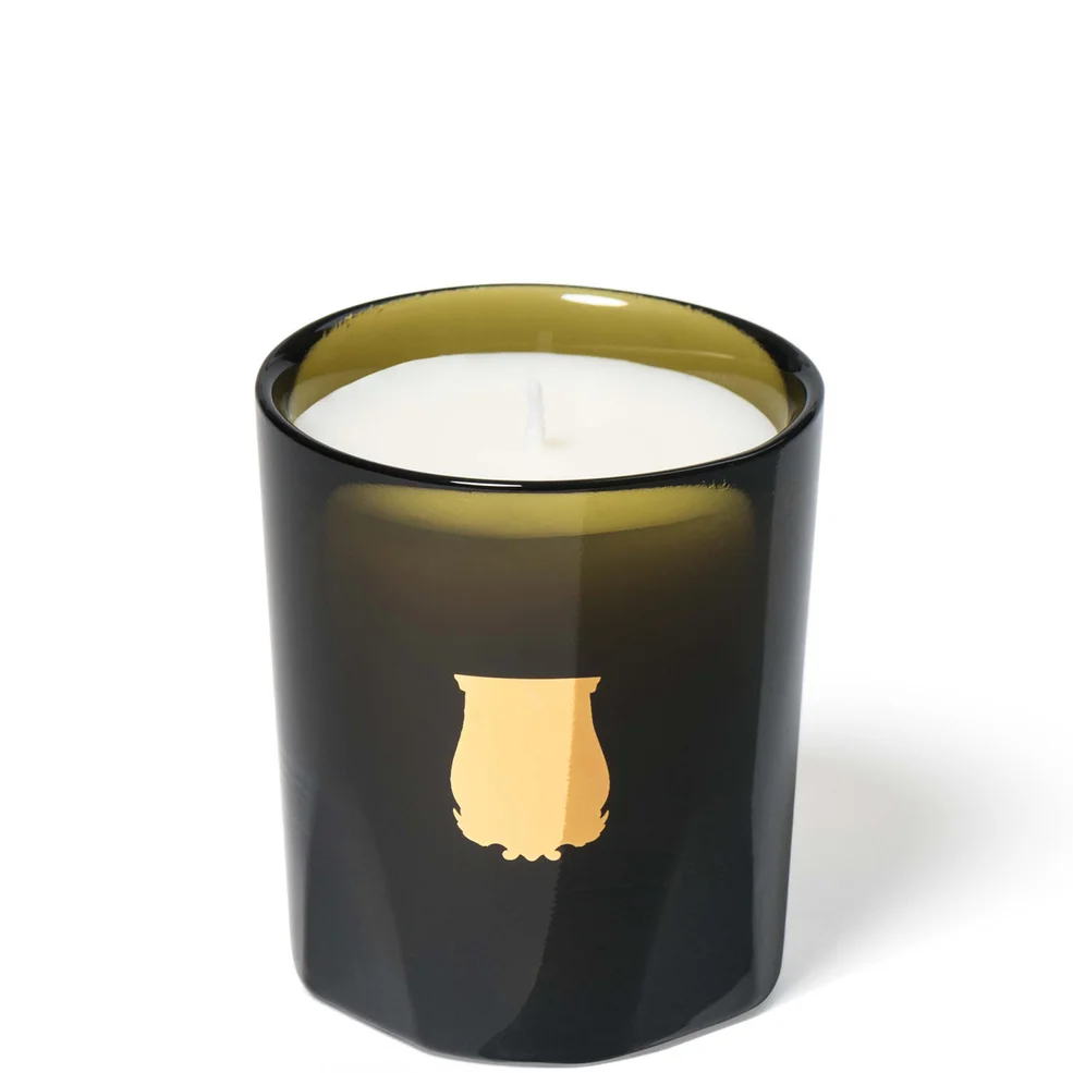 TRUDON Ernesto La Petite Bougie Candle - Leather & Tobacco Image 1