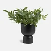 ïn home Clover Urn Vase - Black - Image 1