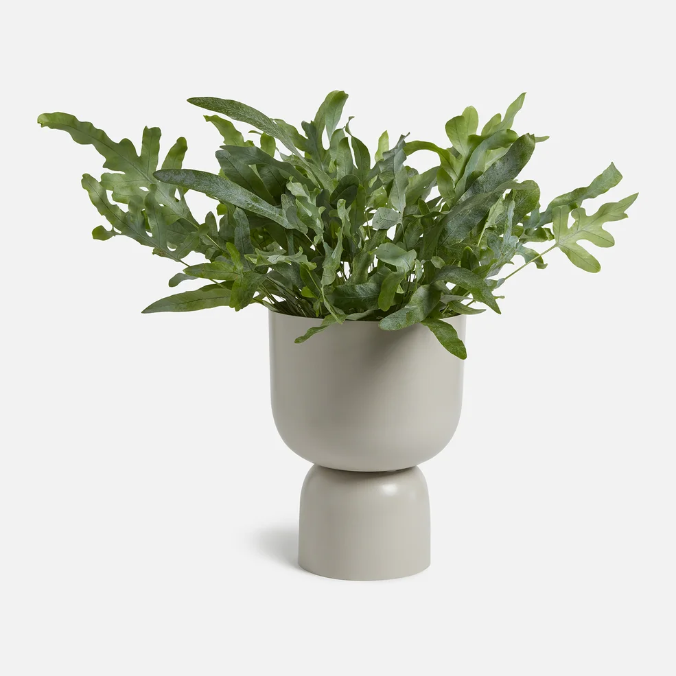 ïn home Clover Urn Vase - Light Grey Image 1