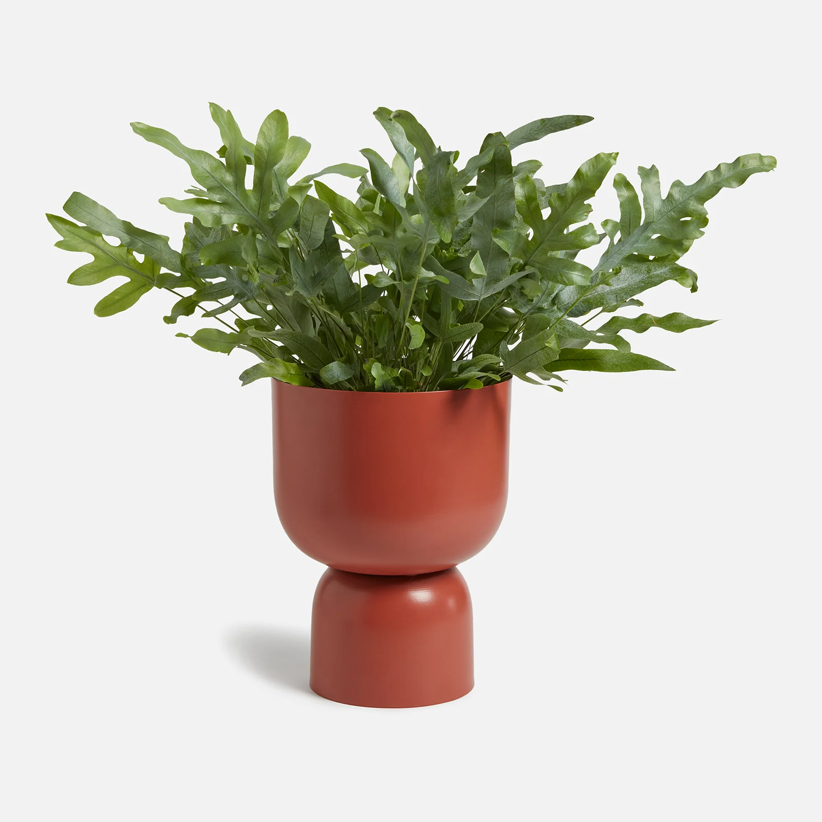 ïn home Clover Urn Vase - Terracotta Image 1