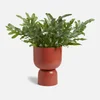 ïn home Clover Urn Vase - Terracotta - Image 1