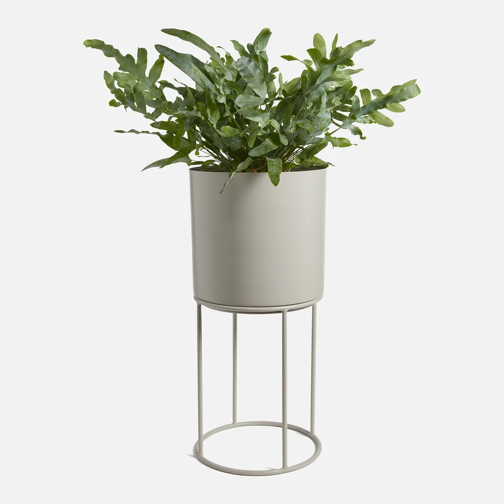 ïn home Blossom Planter With Stand - Light Grey Image 1