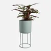 ïn home Blossom Planter With Stand - Sage Green - Image 1