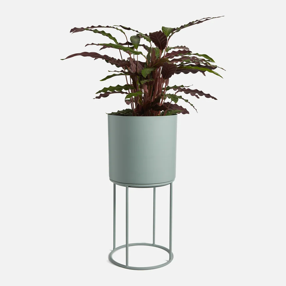 ïn home Blossom Planter With Stand - Sage Green Image 1