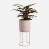 ïn home Blossom Planter With Stand - Rose Pink - Image 1
