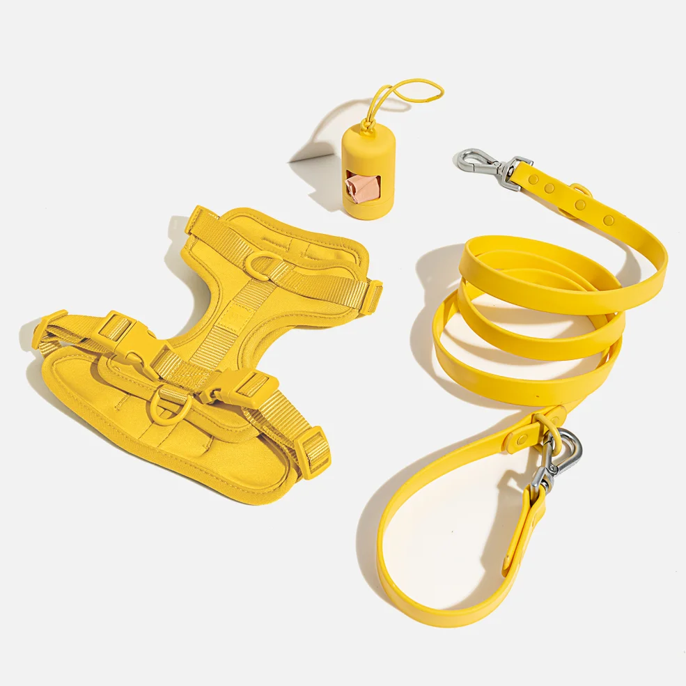 Wild One Dog Harness Walk Kit - Butter Yellow Image 1