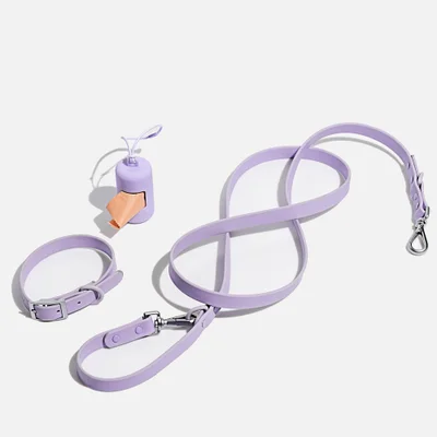 Wild One Dog Collar Walk Kit - Lilac - XL