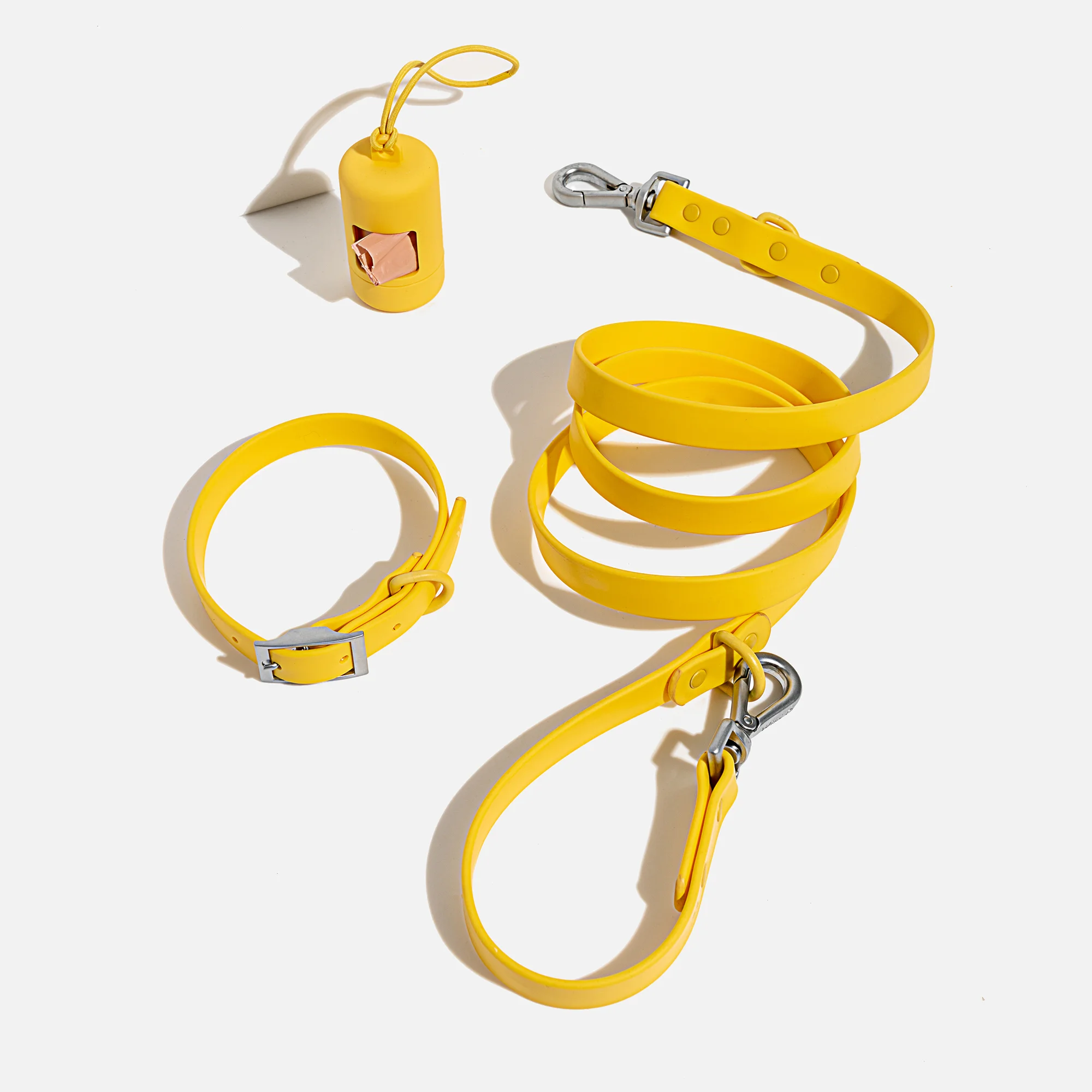 Wild One Dog Collar Walk Kit - Butter Yellow Image 1
