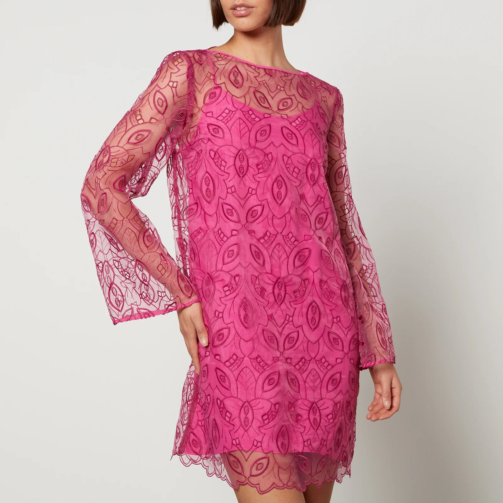 Max Mara Studio Bracco Petticoat Embroidered Tulle Dress Image 1